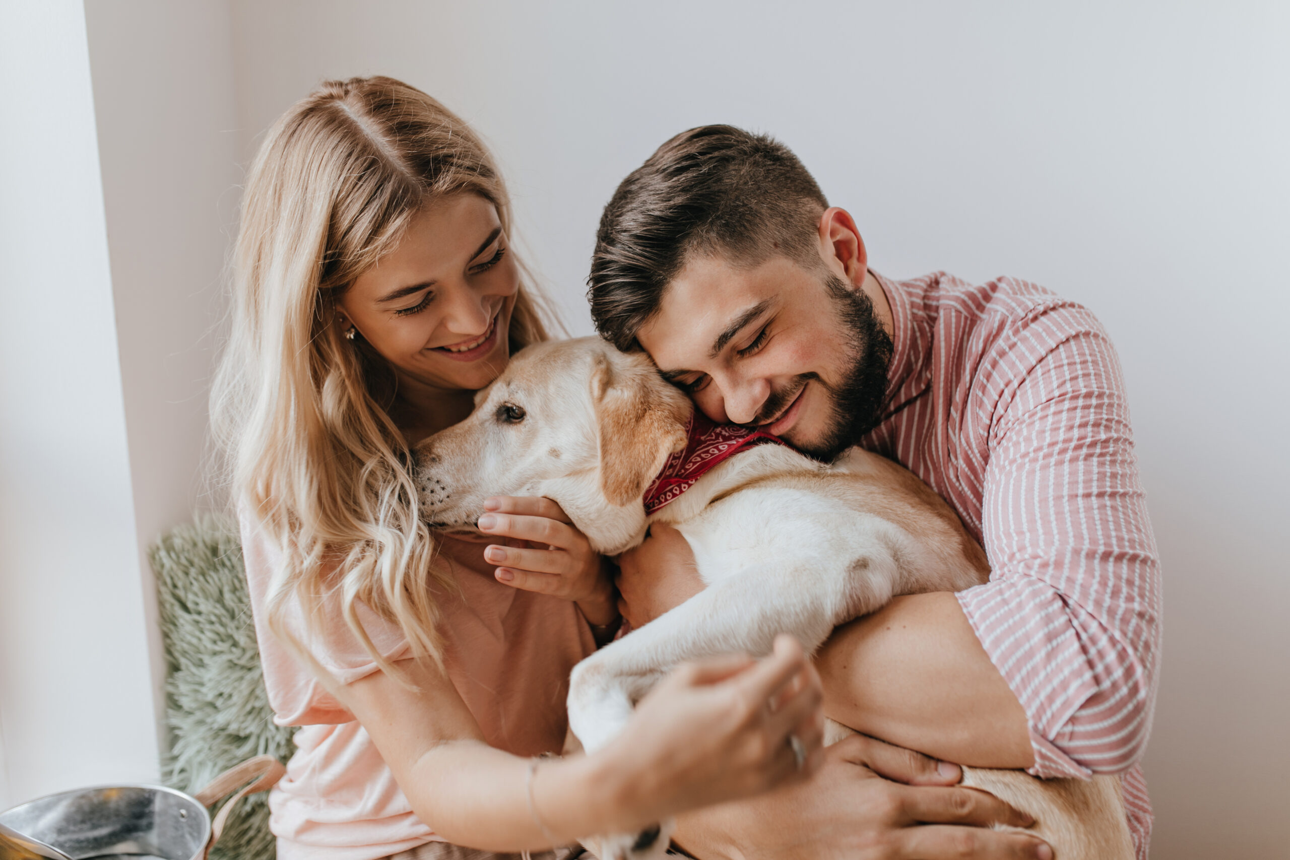 4 dicas para nocautear seu pet com limpeza