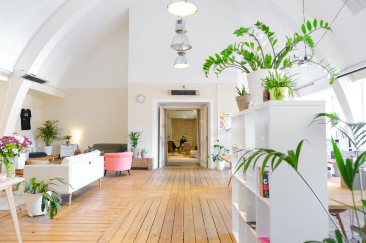 Decore seu escritório com plantas!