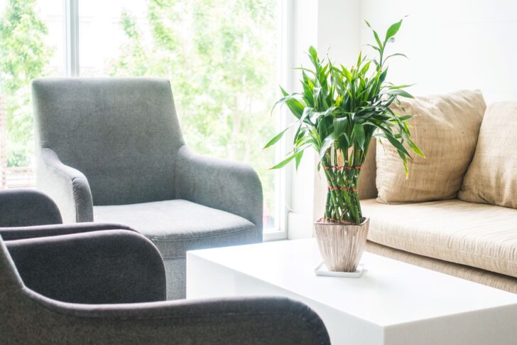 Especial Sala: cinco dicas para decorar o cartão de visita do seu lar!