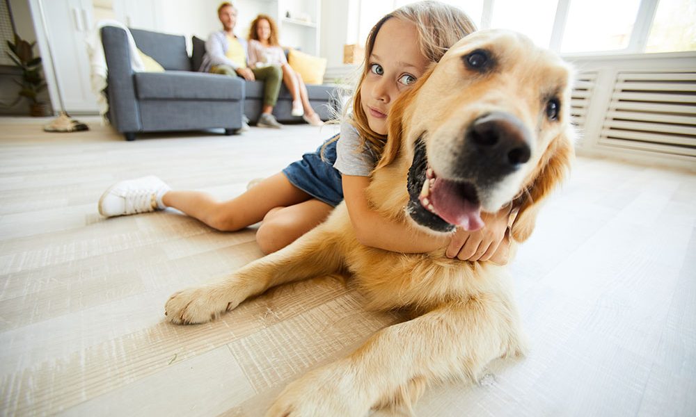 Tem pets em casa? Veja 5 dicas para facilitar a limpeza do dia-dia